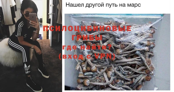a pvp Алзамай