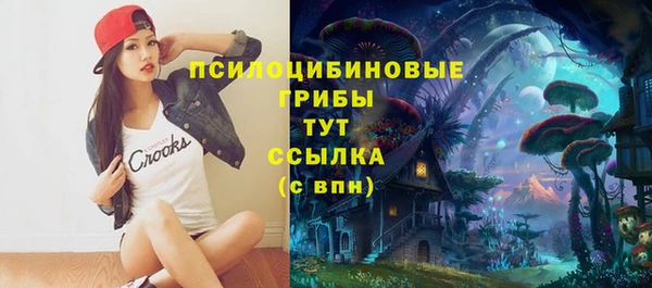 первитин Алексеевка