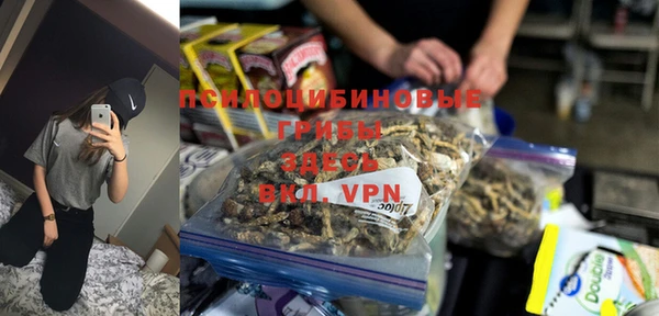 a pvp Алзамай