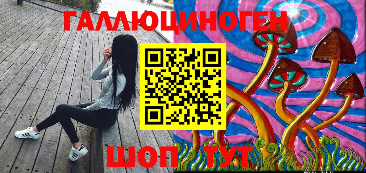 Ейск  цены   Вход с VPN  Галлюциногенные грибы Psilocybe 